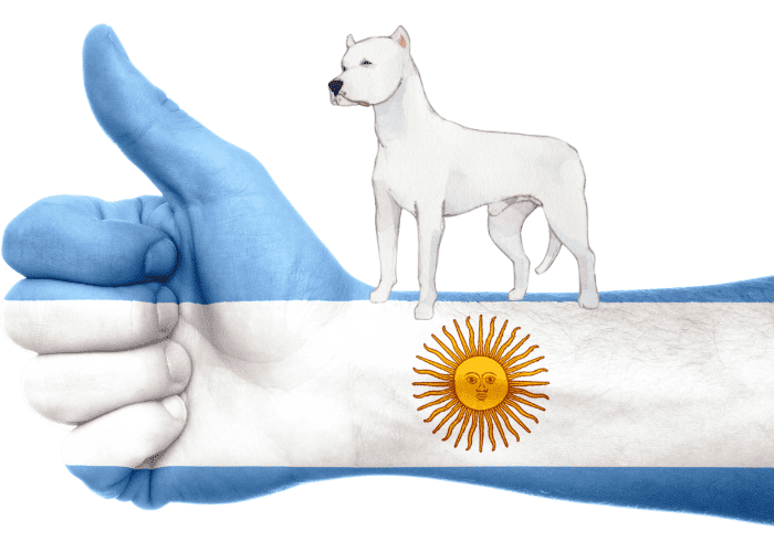 argentinian flag tattoo with dogo argentino silhoutte