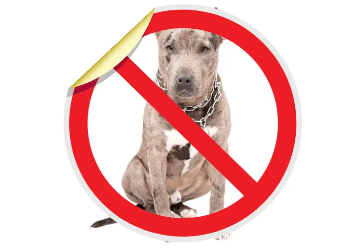 ban pit bull sign