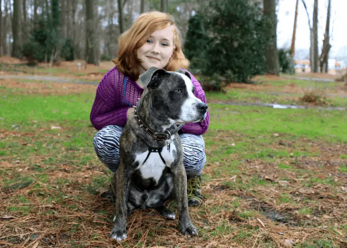 beautiful pit bull terrier with a girl at the park