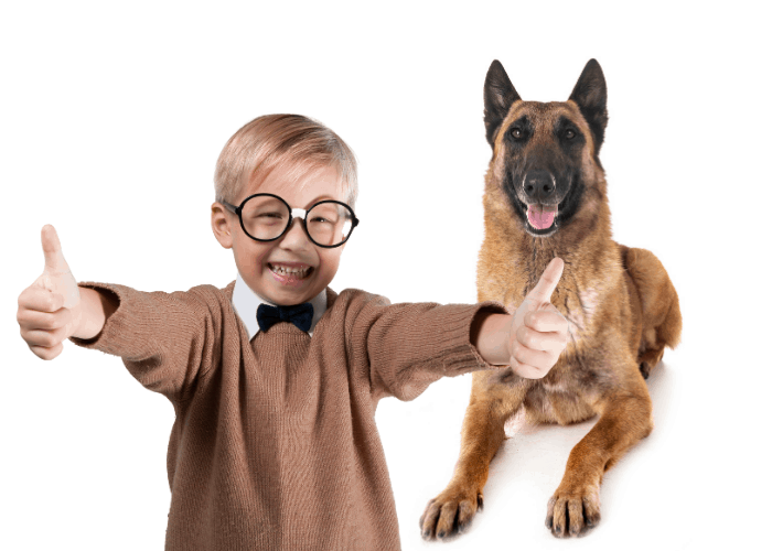 _belgian malinois with a boy doing 2 thumbs up