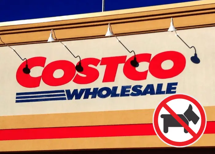 costco no pet dog policy 