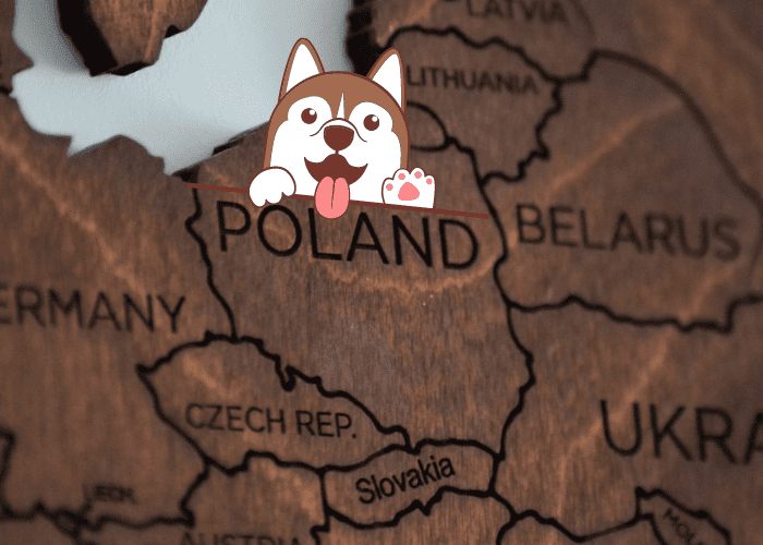 cute dog on a poland map
