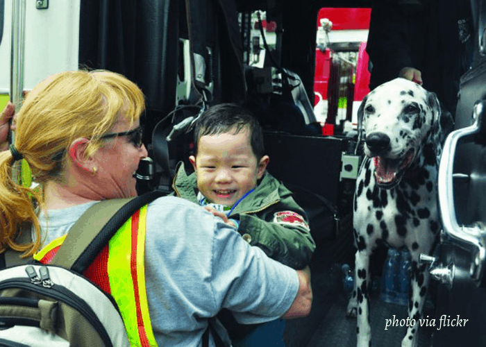 dalmatian mascot at a fire department in the USA