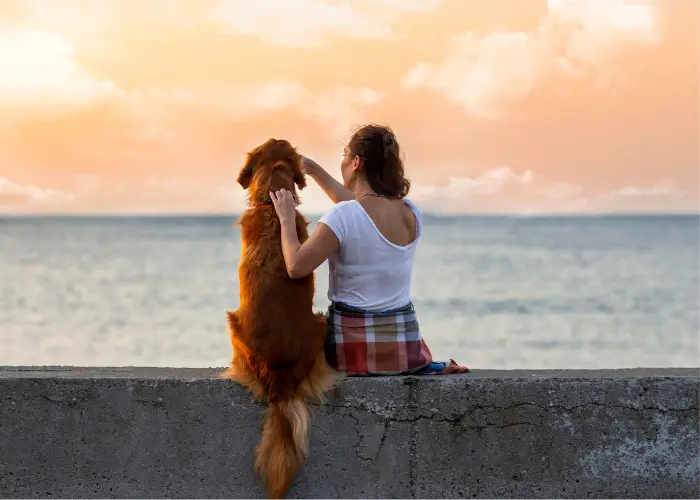 dog and owner watching the sunset