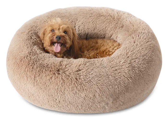 dog bed product 2