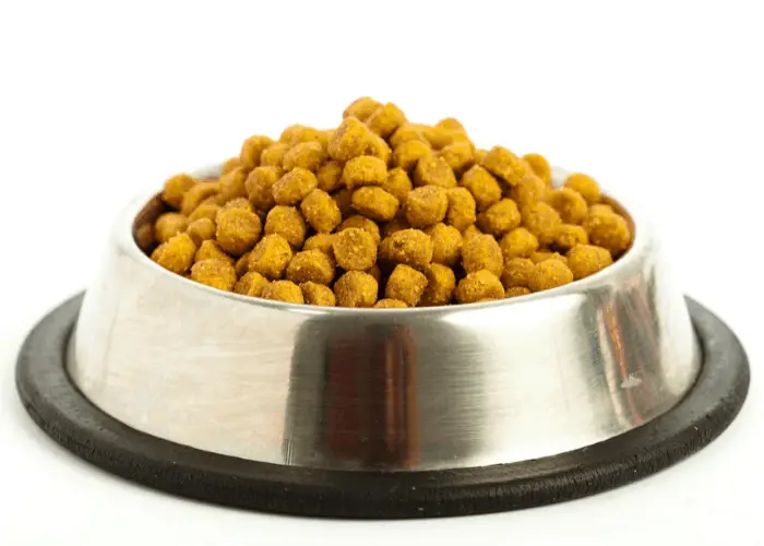 dog food in a bowl