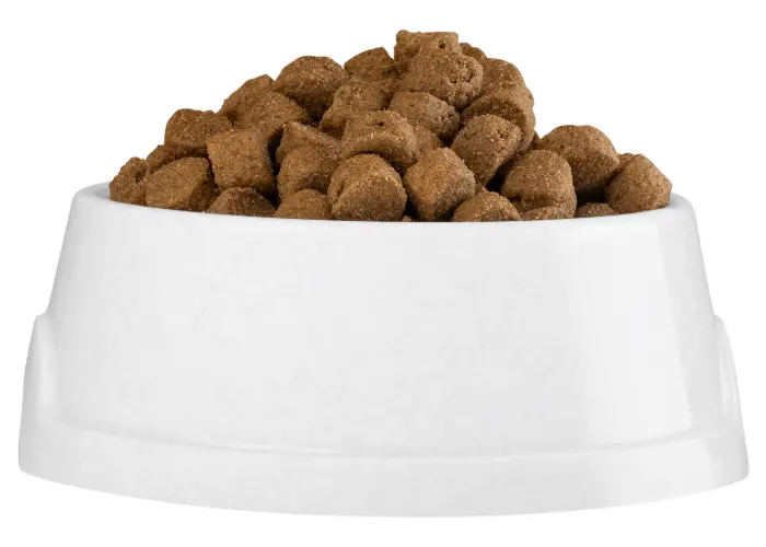 dog food in a white bowl