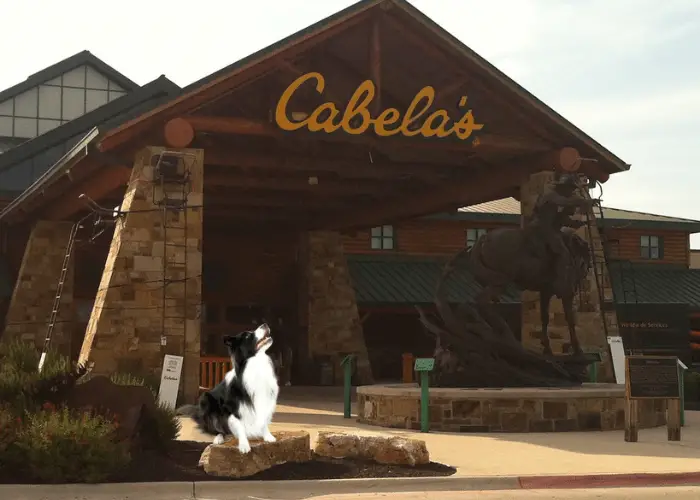 dog in front of cabela's store