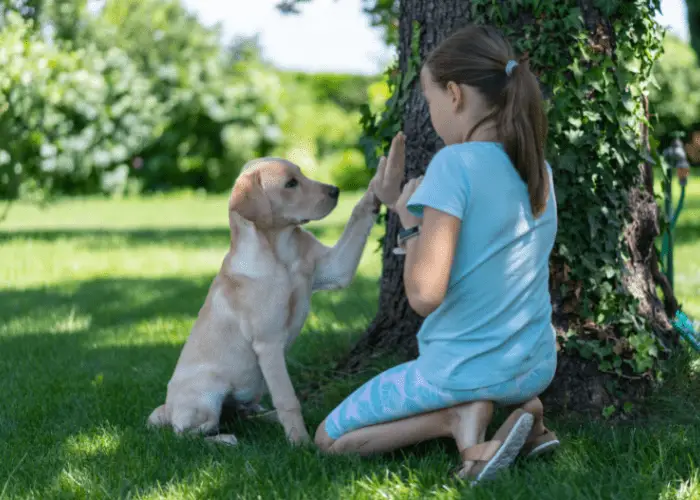 dog left pawing with its girl owner