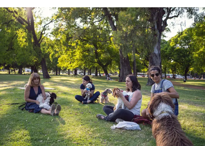 dog owners in a park