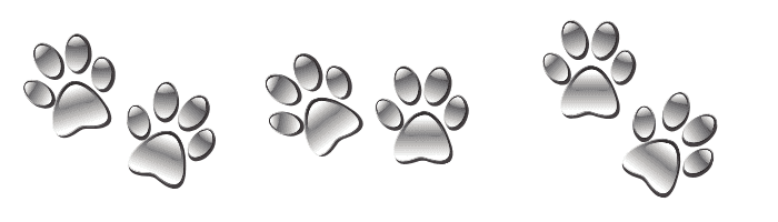 dog paw prints