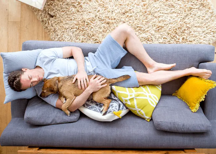 dog sleeping on top of its male owner in the couch