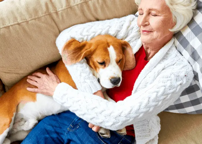 dog sleeping on top of its old female owner 