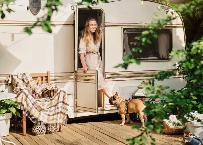 dog traveling with its owner in a caravan