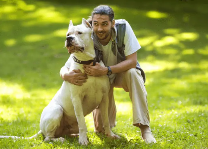 dogo argentino with owner