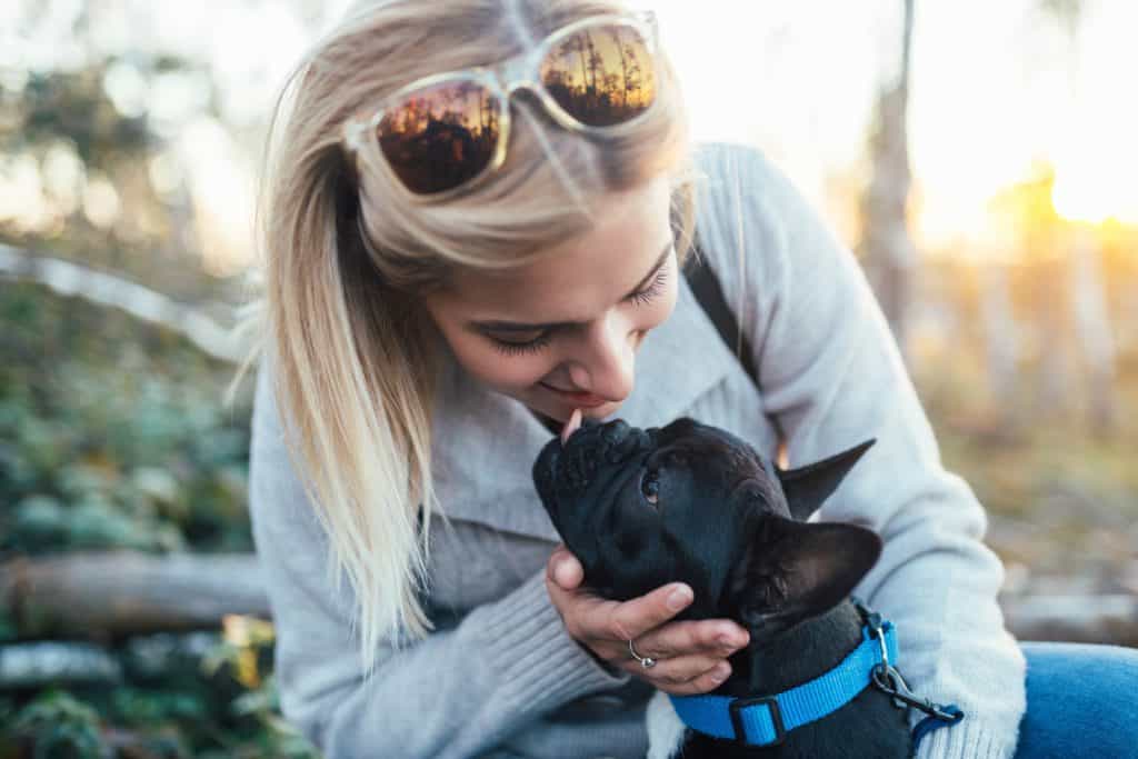 french bulldog licking woman's face