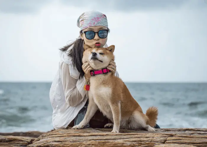 girl and shiba inu on the beach