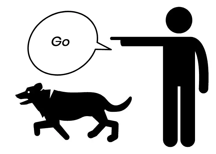 "go or go out" dog commands illustration