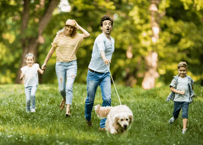 golden retriever and its family at the park