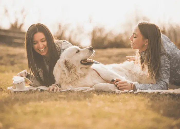 golden retriever with 2 ladies