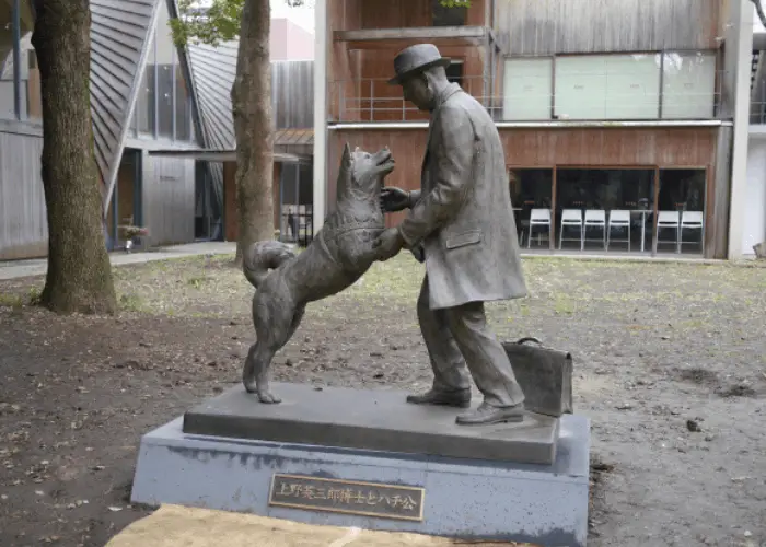 hachiko and his master statue image