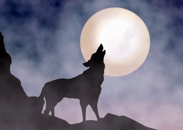 howling dog during full moon