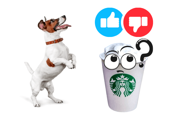 is puppuccino good for dogs image