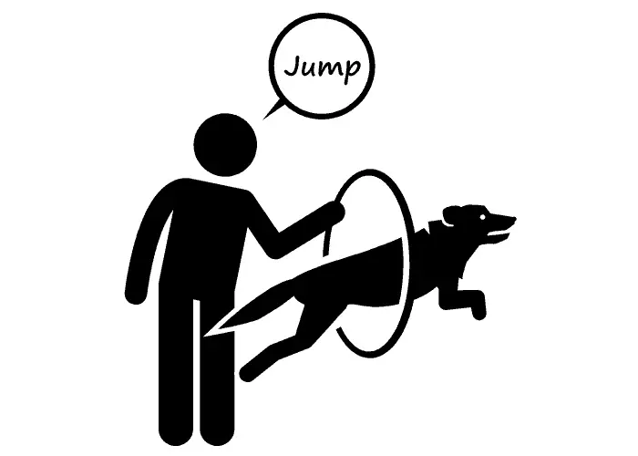 "jump" dog commands illustration