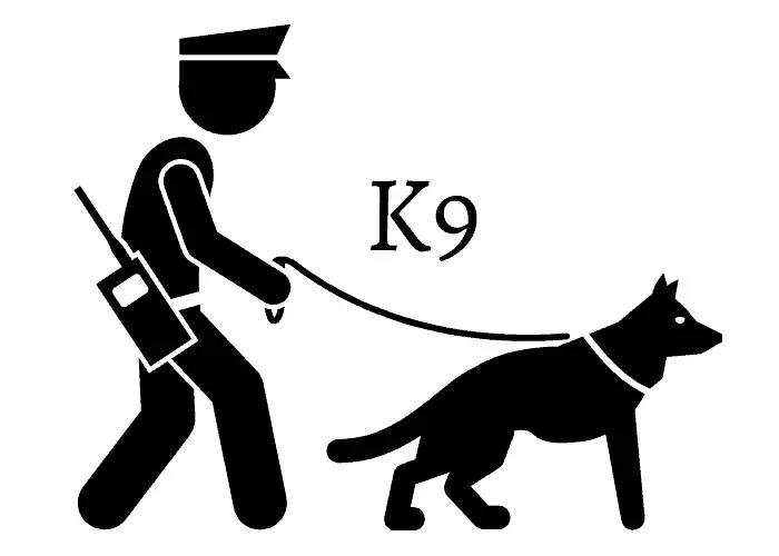 k9 illustration