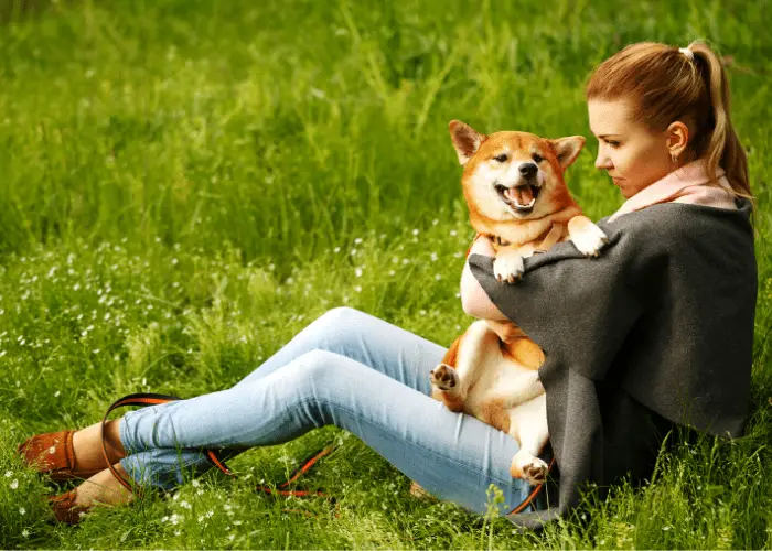 lady hugs her shiba inu