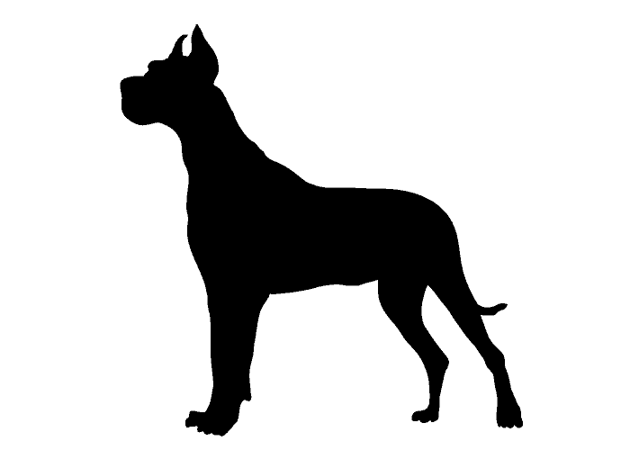 large Great dane silhoutte