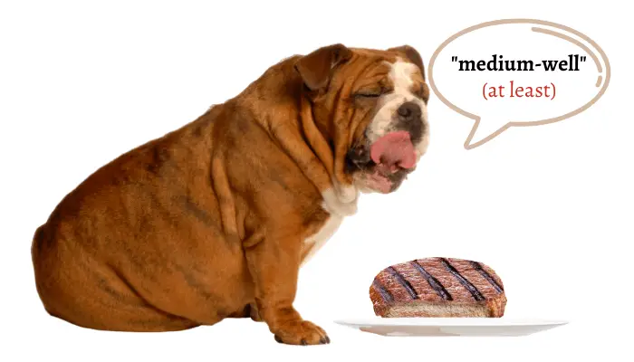 medium-well steak for dogs