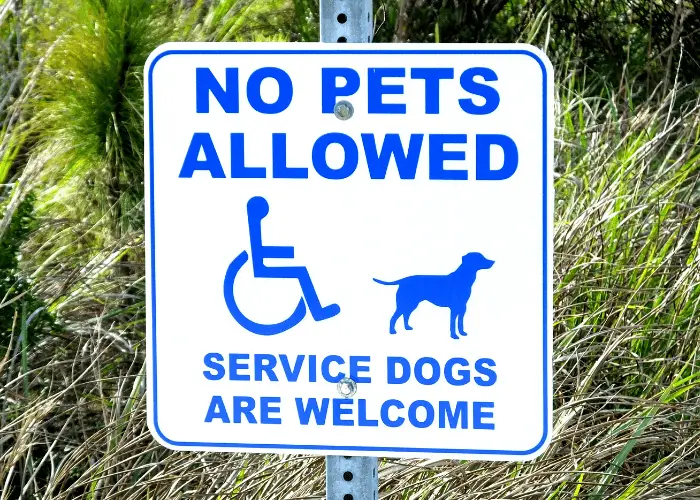 no pets allowed sign