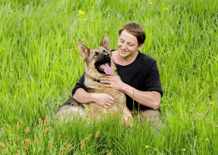 owner giving praise to his german shepherd