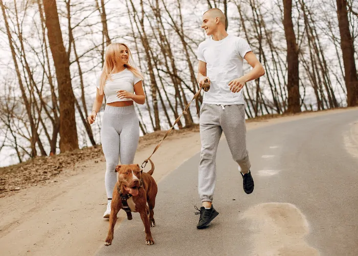 pit bull as a running companion