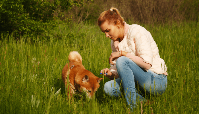 shiba and owner in the forest