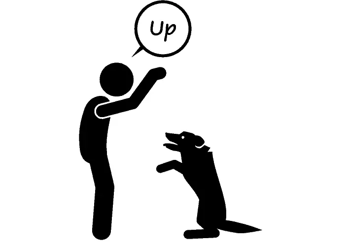 "stand or up" dog commands illustration