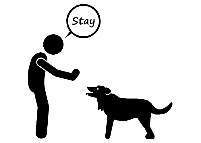 "stay" dog command illustration
