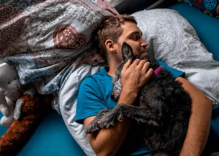 terrier dog snuggling with owner in bed